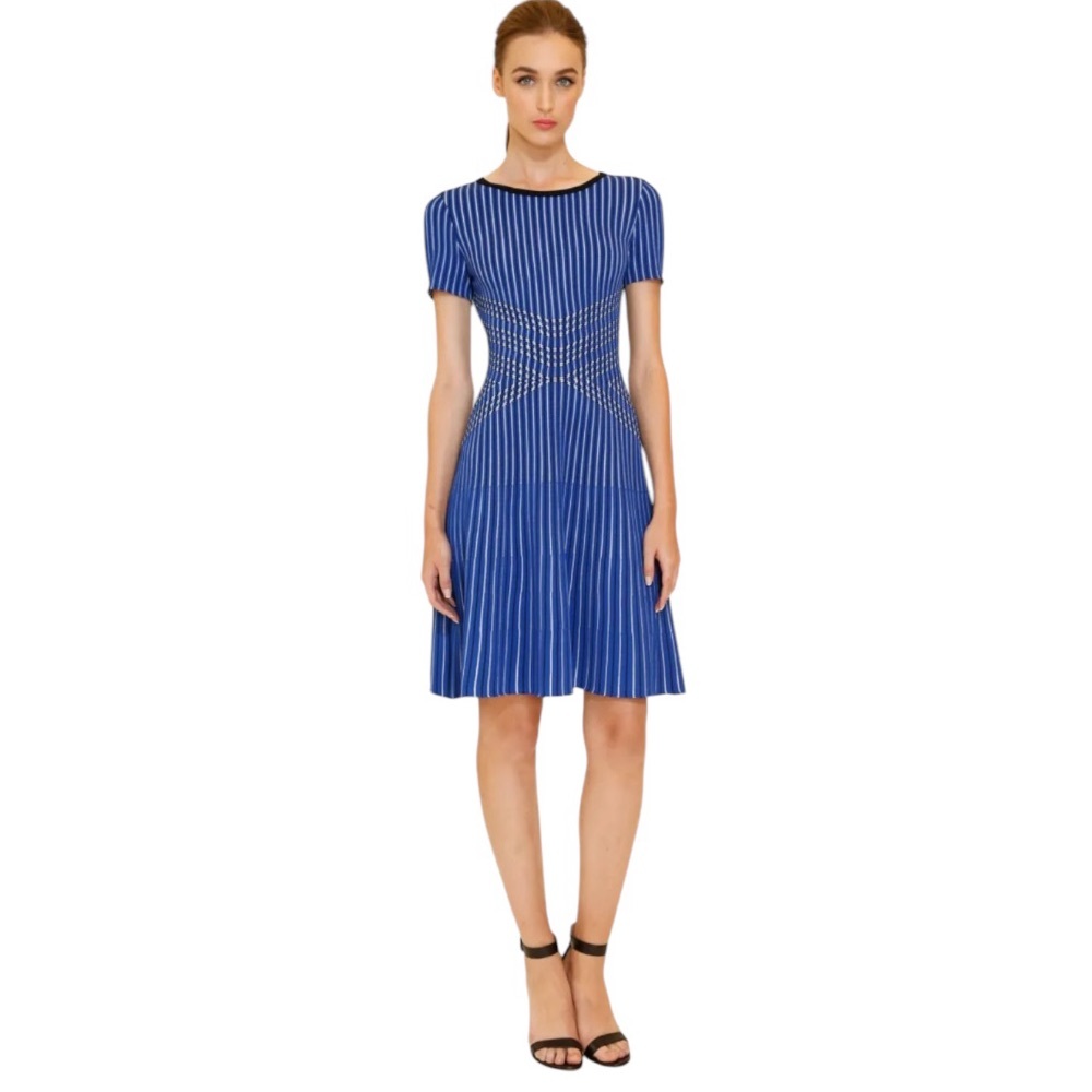 St John Atlantis Fit Flare Knit Dress Blue
Size 2 - Picture 4 of 12